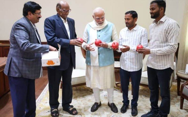 راجیہ سبھا میں ریٹائر ہونے والے ارکان کو وزیراعظم کی خراجِ تحسین، شرد پوار کی واپسی پر خوشی کا اظہار